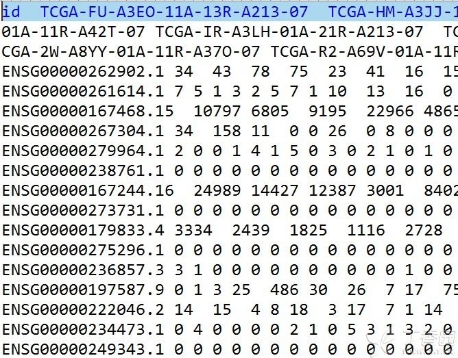  TCGA数据库分析宫颈鳞状细胞癌（CESC）